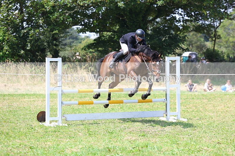 3E7A2873 - Class 7: Senior British Novice/90cm open