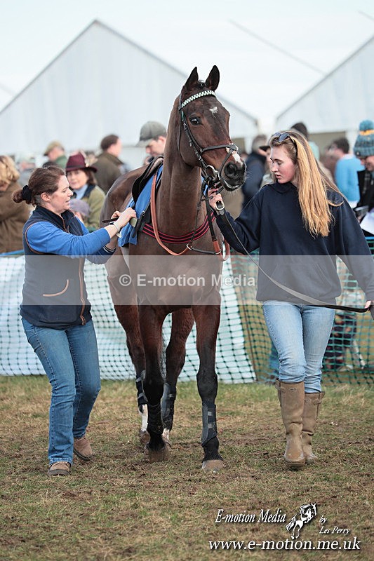 PtP 010325 535 - Beaufort Races Didmarton 01/03/25