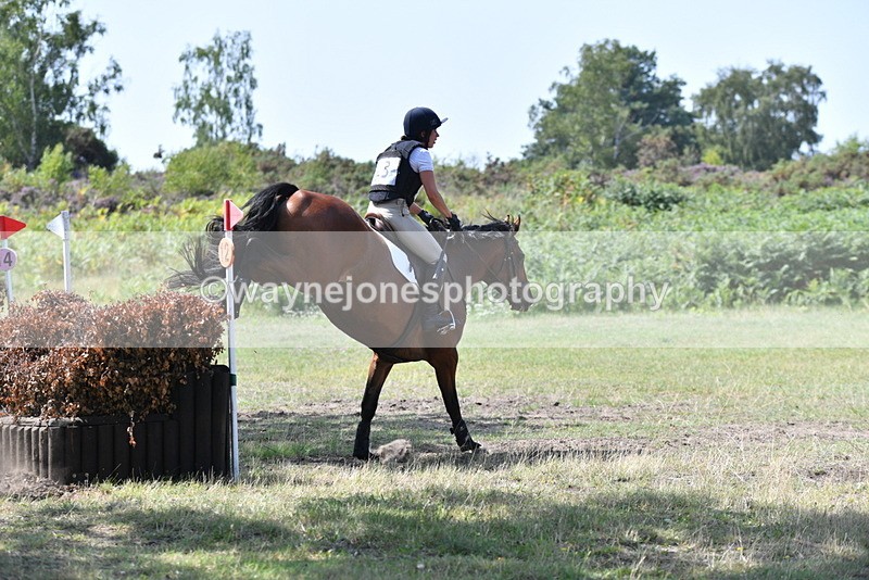 WJ5_2946 - XC Time 12:35 to 12:59