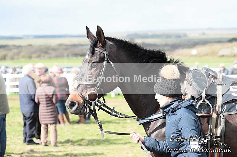 PtP 230324 319 - Tedworth Hunt PtP Larkhill Raccourse 23rd March 2024