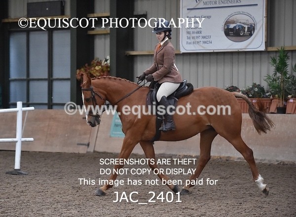 JAC_2401 - CLASS 3 Intermediate Working Hunter