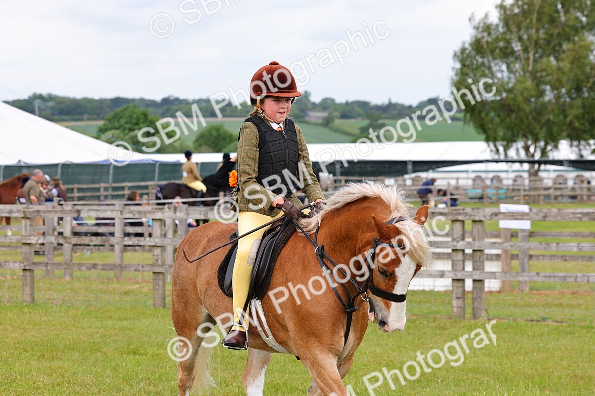 SBM_08574 - Class 42-43 - LIHS BSPS Heritage Working Sports Pony