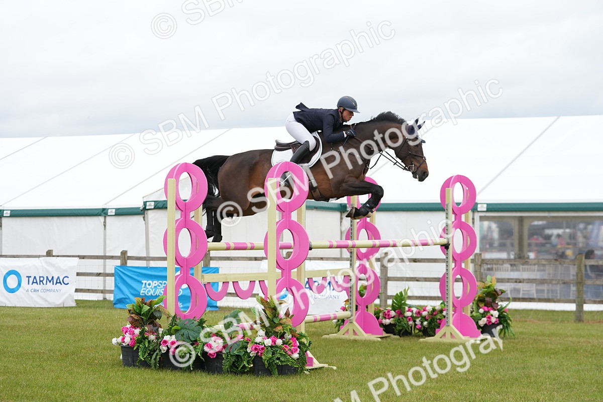 SBM_03069 - Class 201 - British Horse Feeds Speedi Beet Horse of the Year Show Grade  C