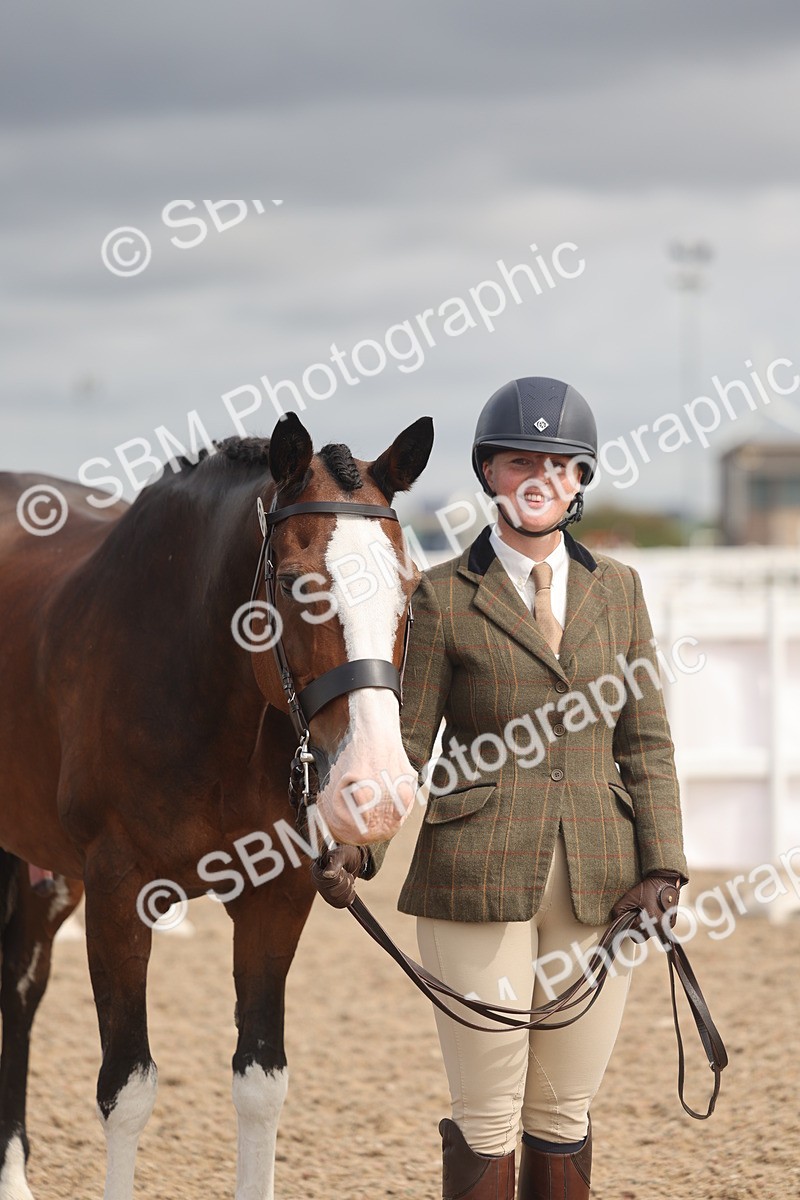 SBM_04428 - Class 18 - Handsomest Gelding (IH or Ridden)