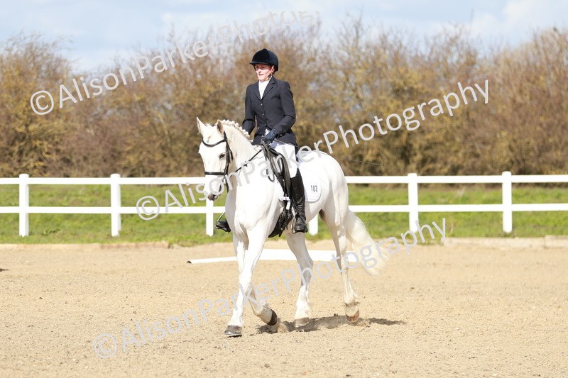 20260314-2976 - DR3 - Prelim 1