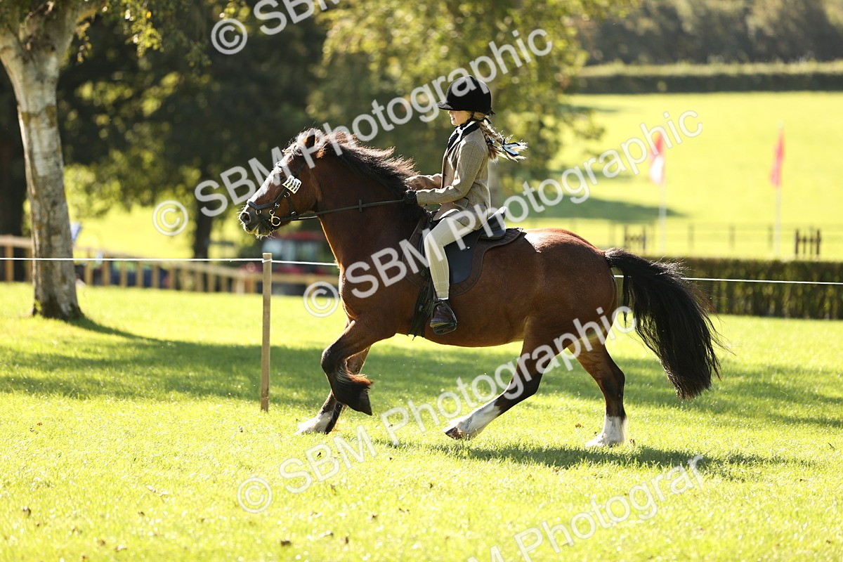 SBM_19162 - S3 - TSR Ridden Pony Showing