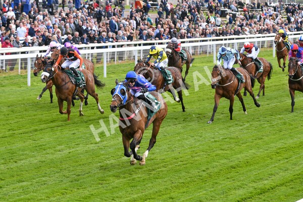 yr12052022r1-16 - Race 1 1.50pm Paddy Power 'Making Flat Less Flat' Stakes
