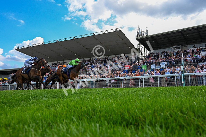 300826-Race 2-Jm Jungle-6084 - Race 2 2.15pm William Hill Beverley Bullet Sprint Stakes