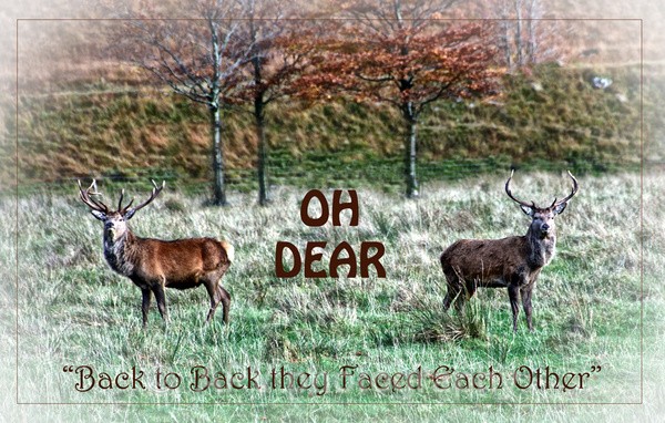  - Scottish Highlands