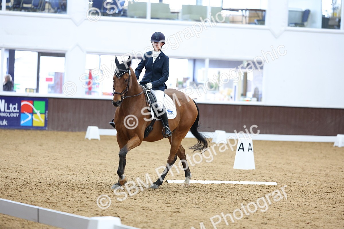 SBM_003970 - Elementary 1