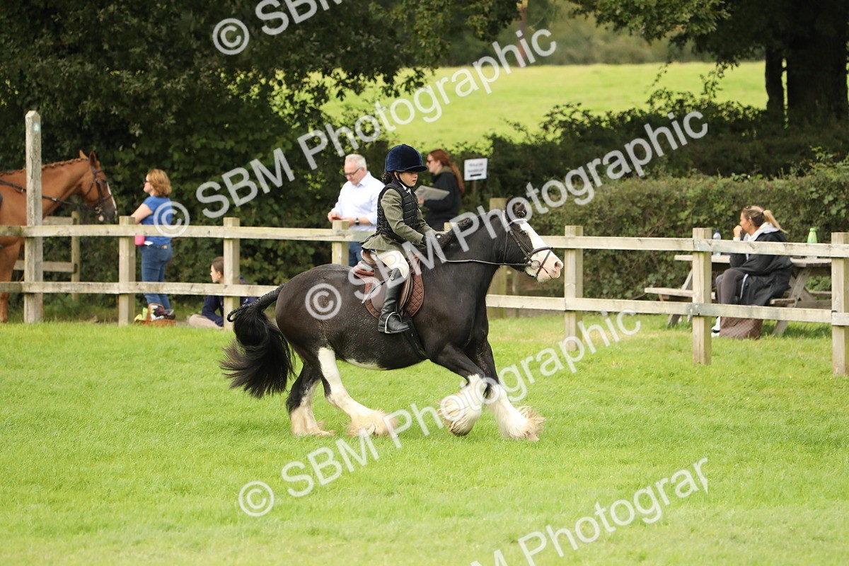 SBM_71692 - S41 - Ridden Equitation (Best Rider)