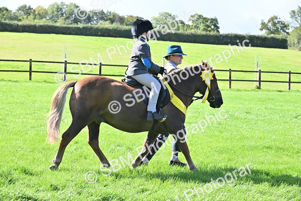 SBM_37480 - S18 - Novice & Newcomer Lead Rein Pony