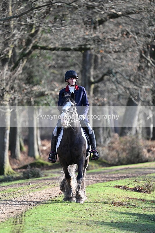 WJ7_7788 - Line 3 (no line 4 or 5)