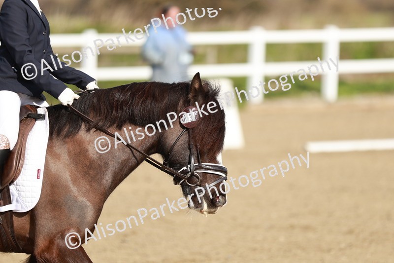 20260314-0112 - CT1 - Intro 1