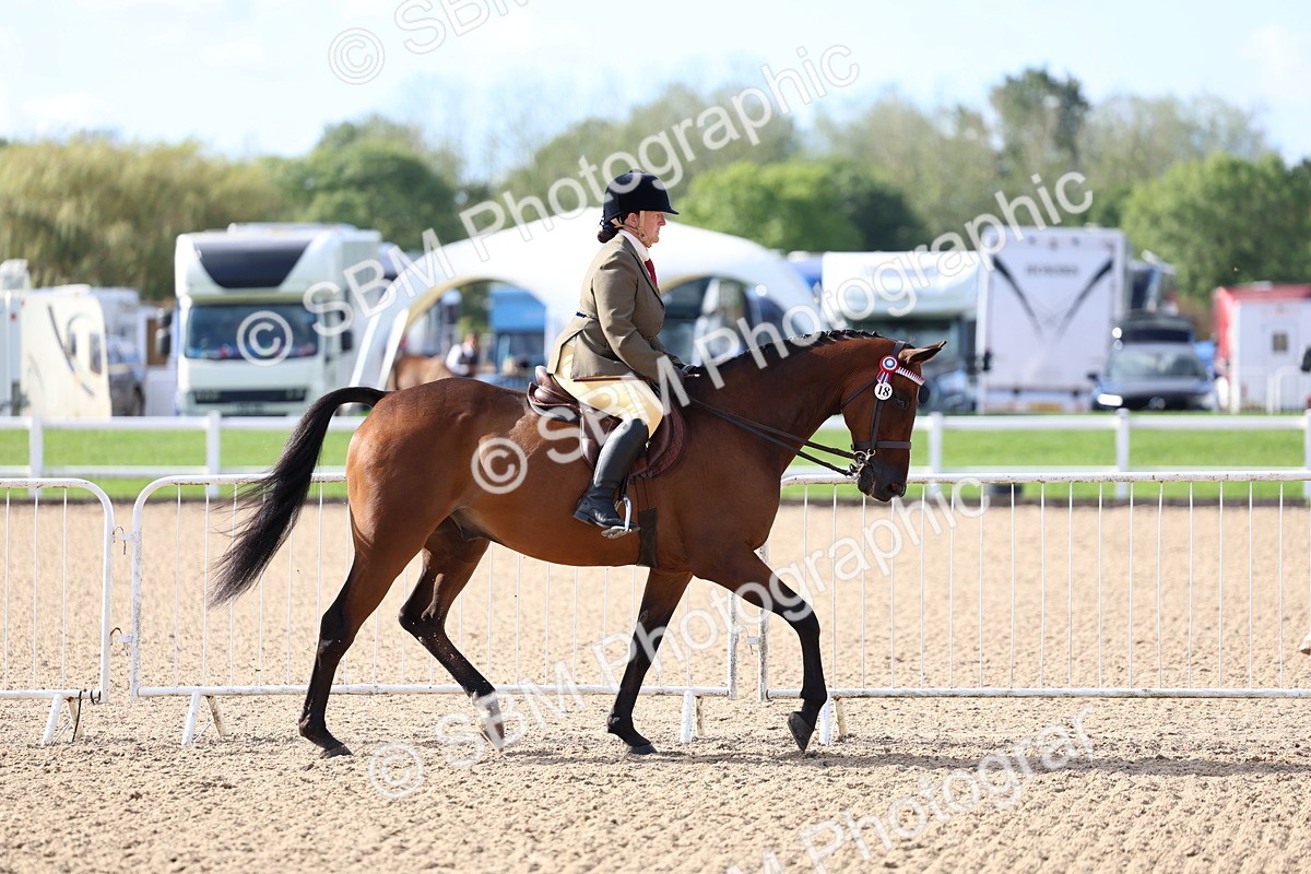 SBM_09100 - Class 303 - Ridden Pure Bred Horse Pony
