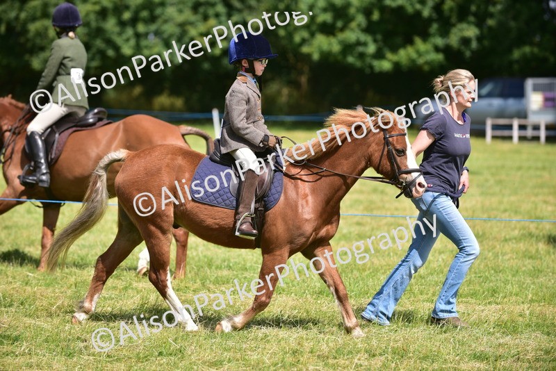 20260614-1175 - Class 11a - Lead Rein Pony (Unplaited)