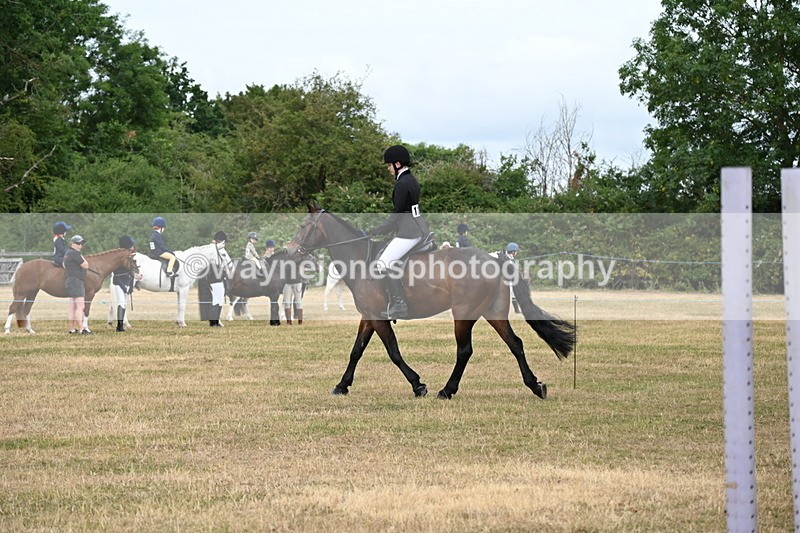 WJ6_3964 - Class 9 Tack & Turnout
