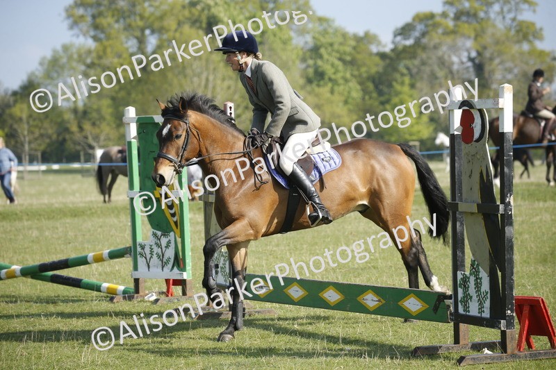 20250427-0238 - Class 12 - Rookie Jumping 40cm