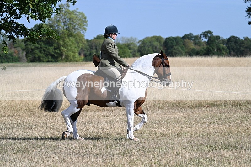 WJ7_2798 - Class 8 Ridden Tack & Turnout