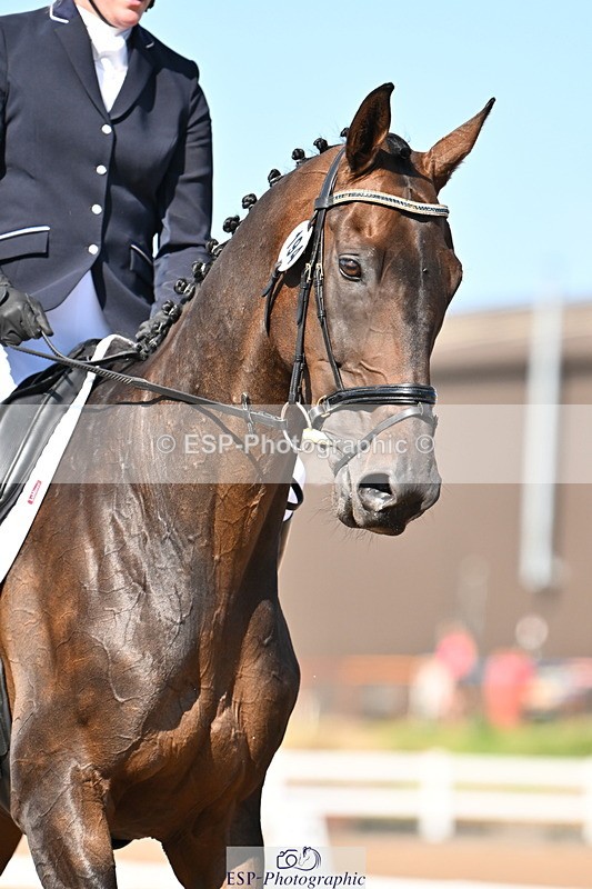 240816A-160337-06064 - 194-Jude.Farr-Loch.Arthur