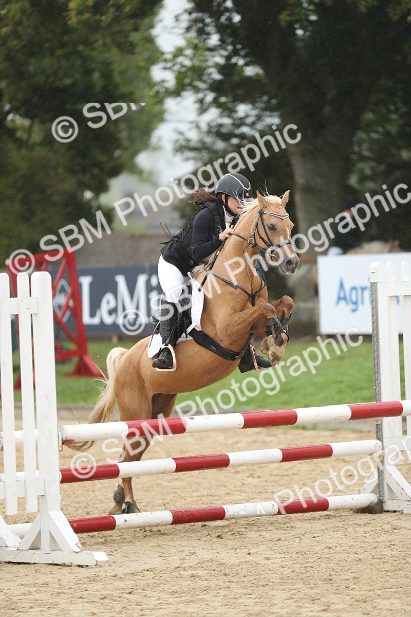 SBM_73934 - J16 - Junior Pony 75cm Championship