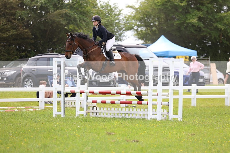 3E7A1595 - Class 13: Senior British Novice/90cm open