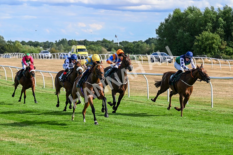 040826-Race 6-Without Flaw-5642 - Race 6 16.45pm Racing Again 17th August Handicap