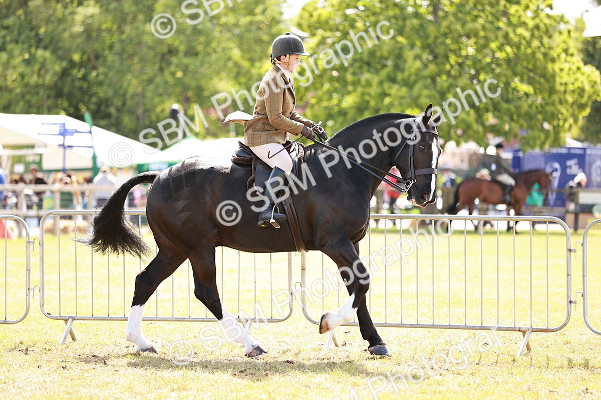 SBM_14020 - Class 85-87 - RIHS Cobs