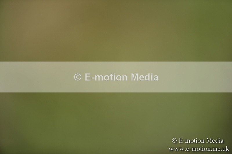 BVR160717-1185 - Class 2 Dressage 16/07/17