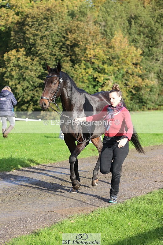 251026A-095530-22584 - D-306-Annabel.Mason