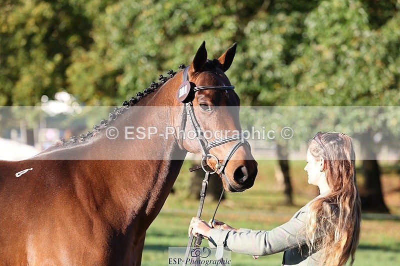 241027-083454-14675 - 412-Holly.Horton-MILTONHILL.MALENKI