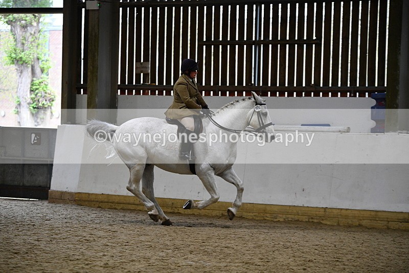 WJ5_9055 - Class 15 Ridden Show Horse