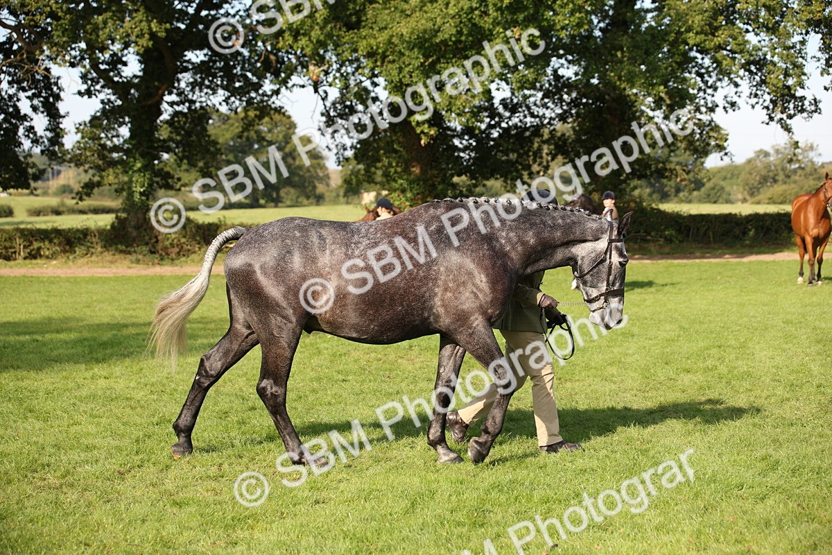 SBM_60093 - S53 - Hunter In Hand