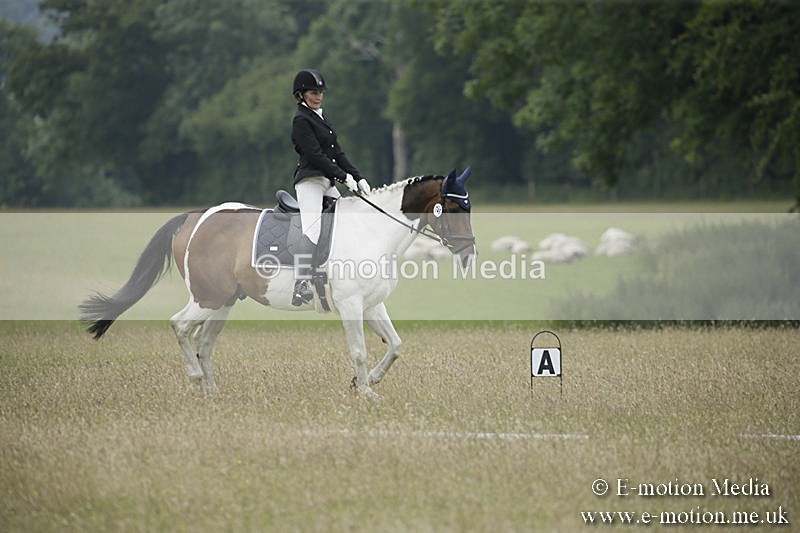 B230619-0634 - Bourne Valley Riding Club Summer Show 23/06/19