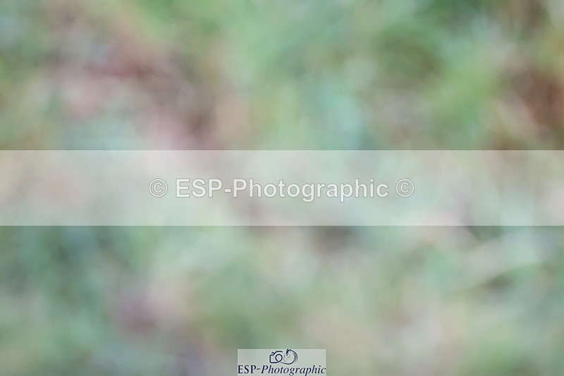 250830A-135812-06853 - Cls 16 Snr Newcomers and 1.10m Open