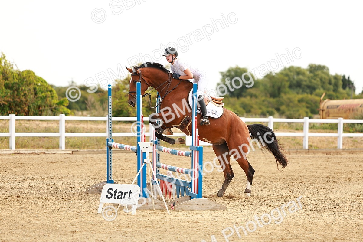 SBM_002386 - Class 9 - Senior British Novice - 90cm