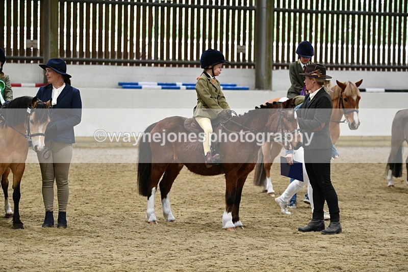 WJ5_7129 - Class 10 Childs Pony