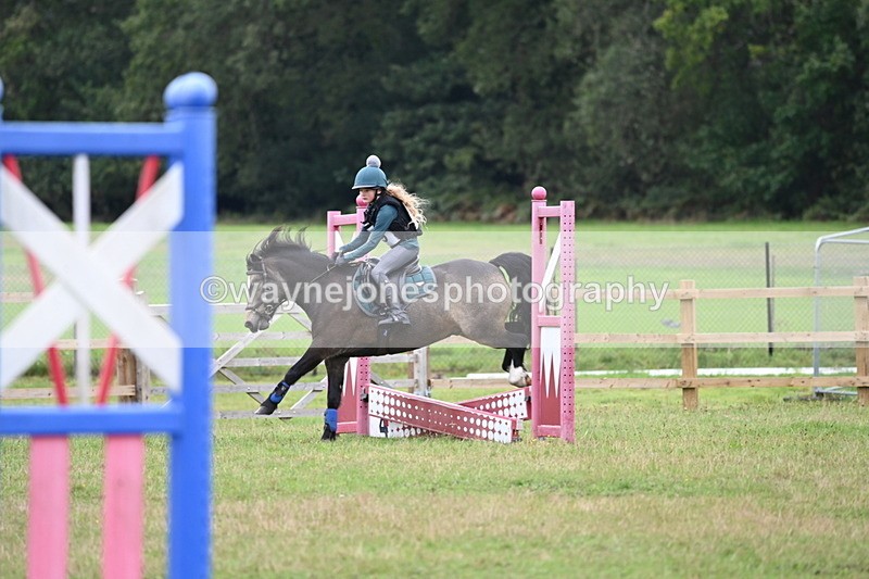WJ6_0322 - 40cm Time 10:00 to 10:28