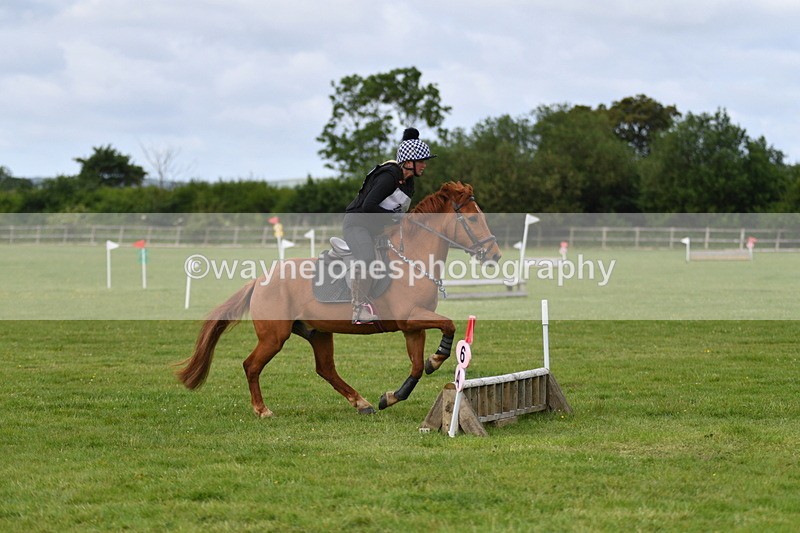 WJ5_2269 - Class 2 40cm