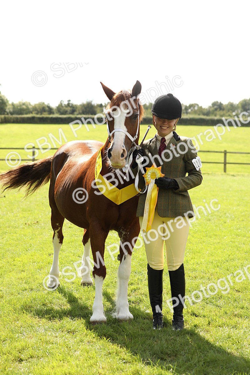 SBM_65514 - S47 - Mountain & Moorland In Hand Large Breeds