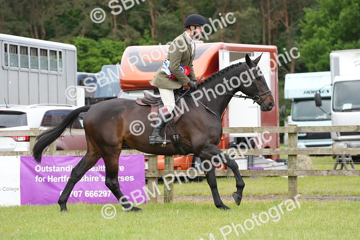 SBM_12864 - Class 97-98 - LIHS BSHA Rising Star Working Show Horse Hunter