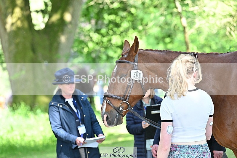 250521A-161151-00977 - C-260-Georgie.Frow-RIVERSTOWN.ROYAL