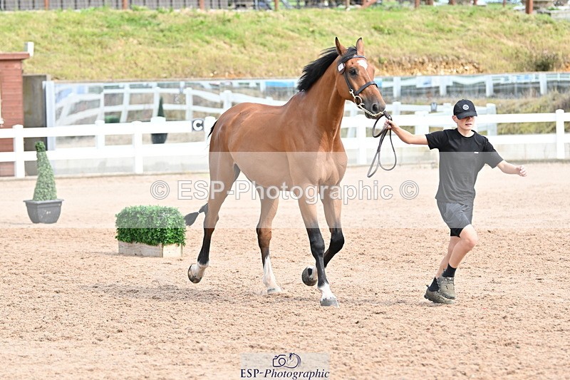 240717A-163847-03468 - Trot Up 4pm to 5pm