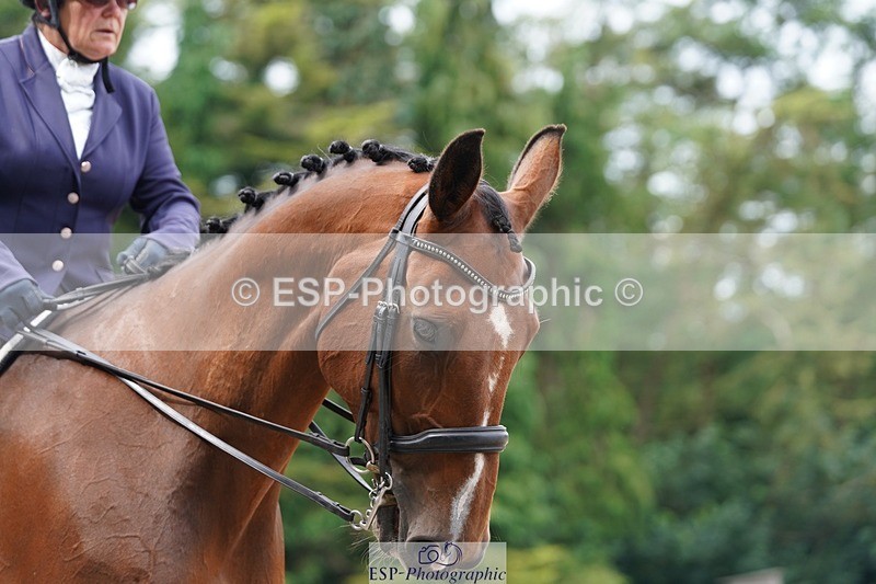 240721-103034-07616 - 193-Sally_Burchell-Tobiastar
