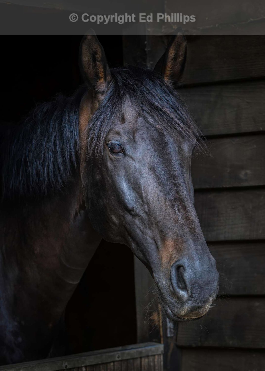 Stabled