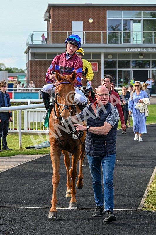 020526-Race 7-Rising Force-0301 - Race 7 5.00pm Sky Bet Irish Day Saturday 16th May Book Now Handicap