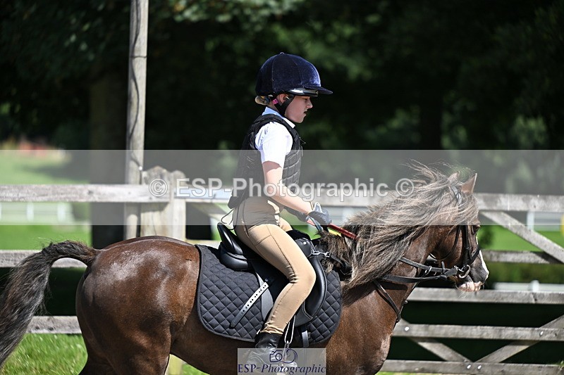 240729B-113700-02459 - Showjumping Competition