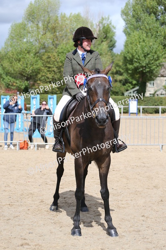 20260831-2675 - Class 15 - Ridden Retraining of Racehorses