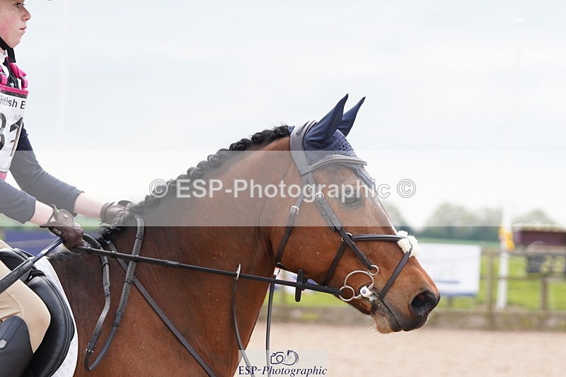 250419-142318-11253 - 812-Emilia.Kangurs-HOLLYWOOD.COMMANDER.IN.CHIEF