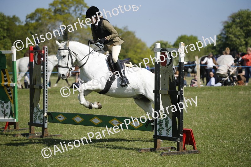 20250427-2105 - Class 13 - Novice Jumping 60cm